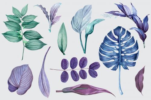 Purple leaves collection design vector - 1200110