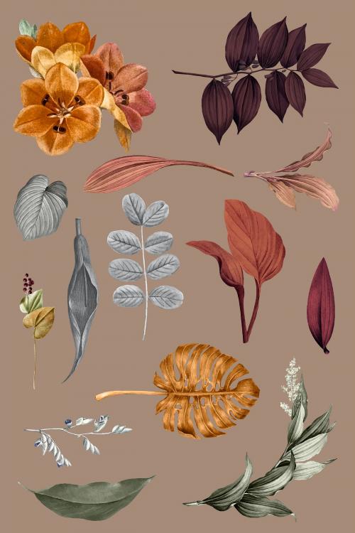 Tropical leaves collection vector set - 1200142