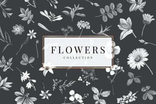 Flowers collection on a black background vector - 1201122