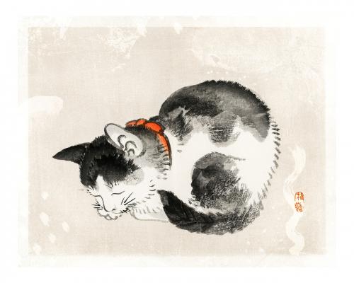 Sleeping cat vintage illustration wall art print and poster design remix from original artwork by Kōno Bairei. - 2270016