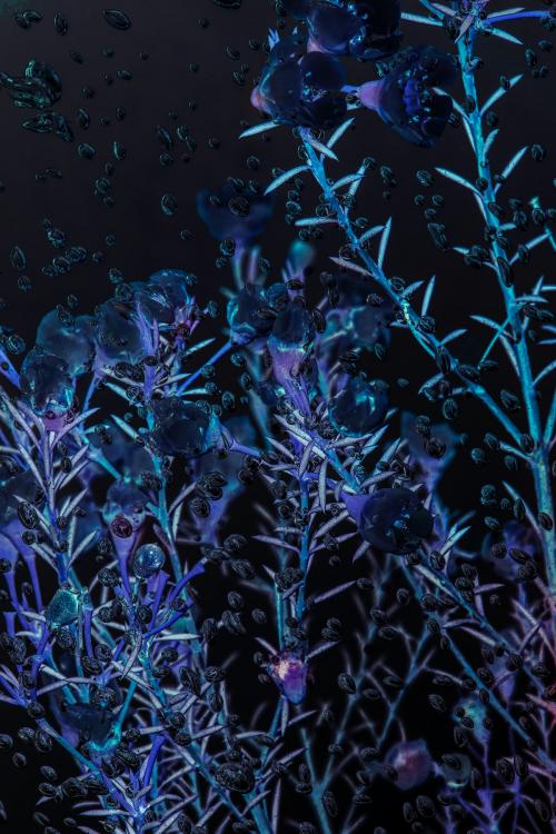 Inverted photography of wax flowers in water with air bubbles on the surface - 2272460