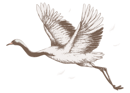 Flying crane vintage illustration transparent png design remix - 2272467