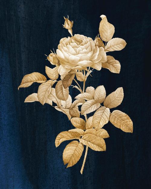 Golden rose vintage wall art print poster design remix from original artwork by Pierre-Joseph Redouté. - 2274370