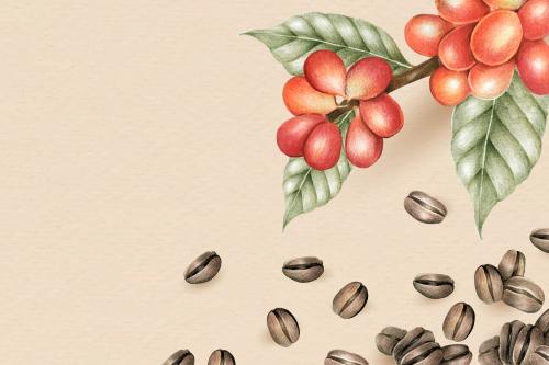 Blank coffee day background design vector - 1206646