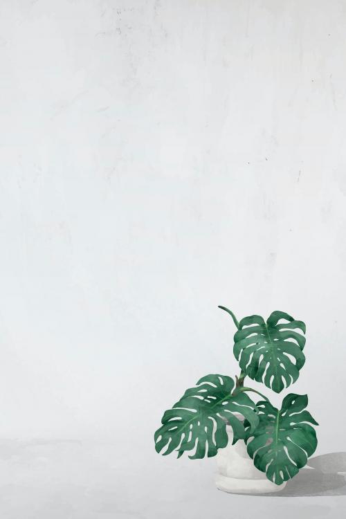 Blank monstera leaves frame vector - 1208582