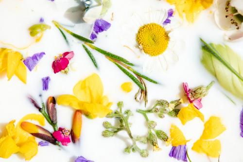 Colorful spring flowers in a milk bath patterned background - 2293695