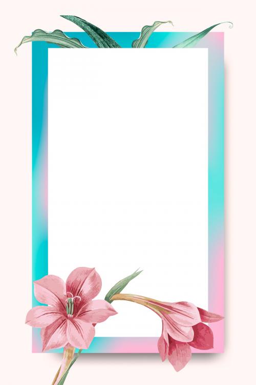 Pink amaryllis on pink and blue frame vector - 1208754