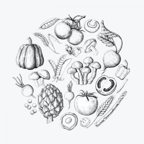 White vegetable design collection vector - 1209009