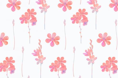 Pink flowers on a white background - 1209703