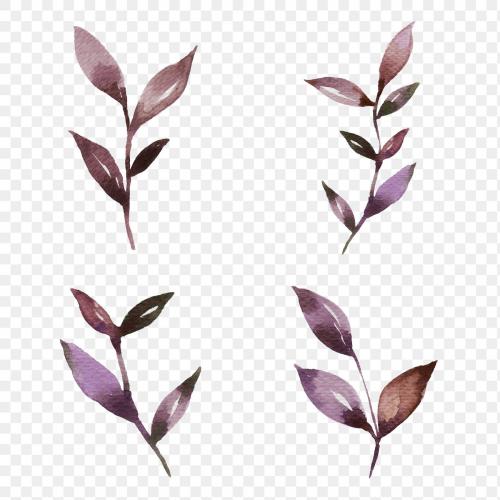 Hand painted watercolor leaves transparent png set - 2037226