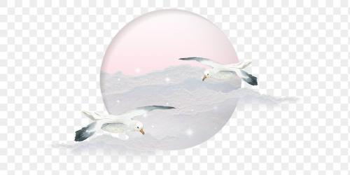 Seagulls flying in the watercolor sky transparent png - 2045261