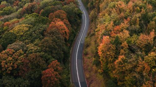 Road through an autumn scenic route - 2047623