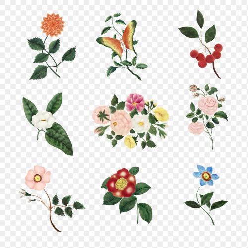 Vintage flower set illustration transparent png - 2208746