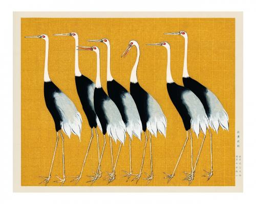 Flock of Japanese red-crowned crane vintage illustration wall art print and poster design remix from original artwork. - 2267296