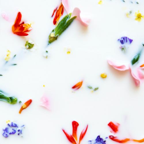 Colorful spring flowers in a milk bath - 2279874