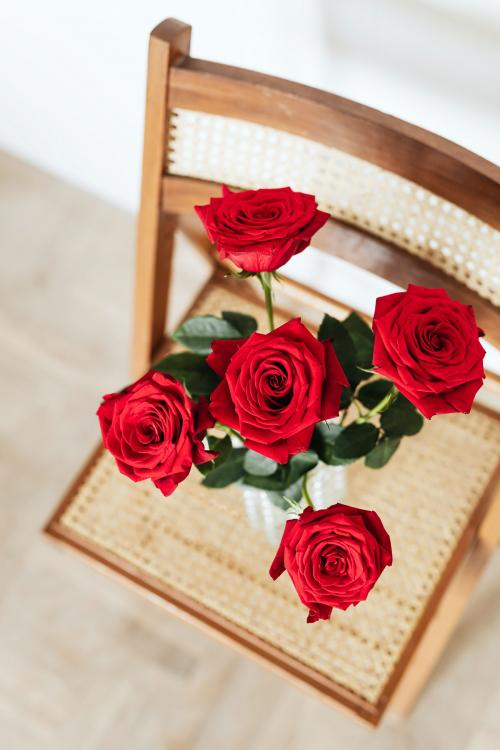 Red roses in a glass vase on a wooden chair - 2281704