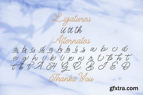 The Gallery - Monoline Script Font