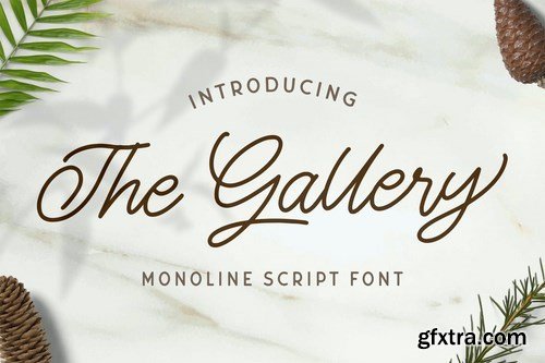 The Gallery - Monoline Script Font