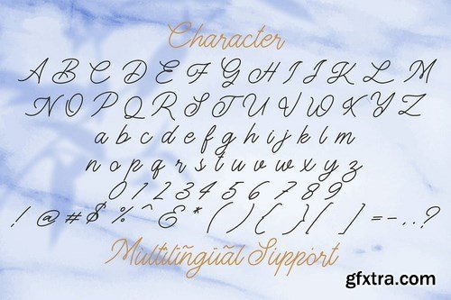 The Gallery - Monoline Script Font