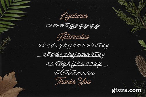 CM - The Banten - Monoline Script Font 5040767