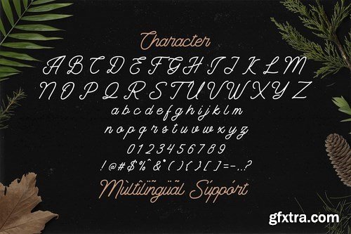 CM - The Banten - Monoline Script Font 5040767