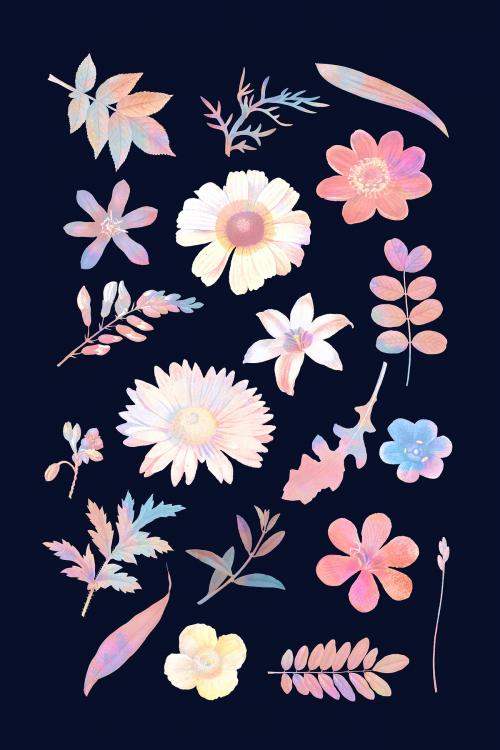 Colorful floral design vector set - 1209699