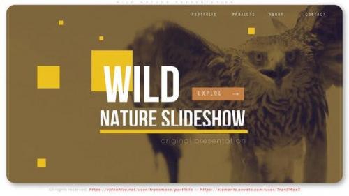 Videohive - Wild Nature Presentation