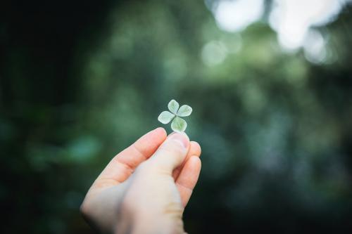 Woman holding a four-leaf clover - 2047728