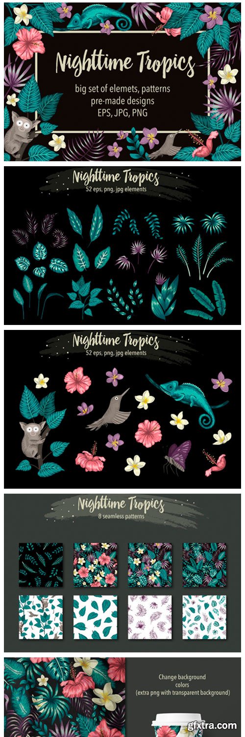 Nighttime Tropics 4328114