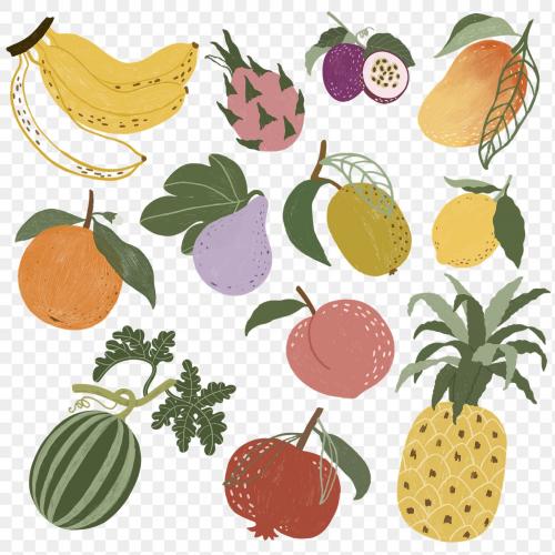 Hand drawn fruits design resource pack transparent png - 2222955