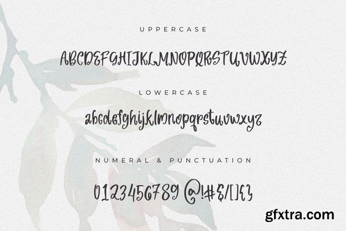 Cijuela - The Beauty Script Font