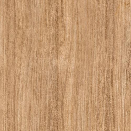 Oak wood textured design background vector - 2253130