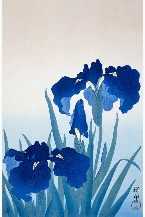 Iris flowers vintage wall art print and poster design remix from original artwork by Ohara Koson. Digitally enhanced and vectorized by rawpixel. - 2275871