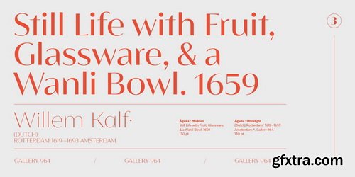 Aguila Font Family