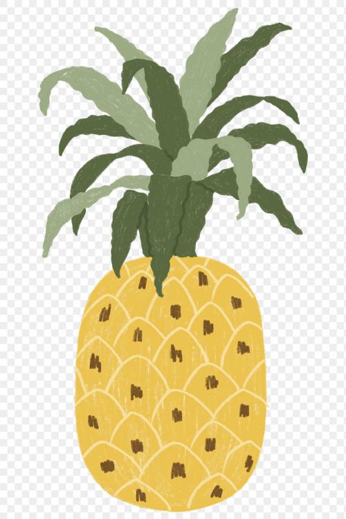 Hand drawn pineapple design resource transparent png - 2206795