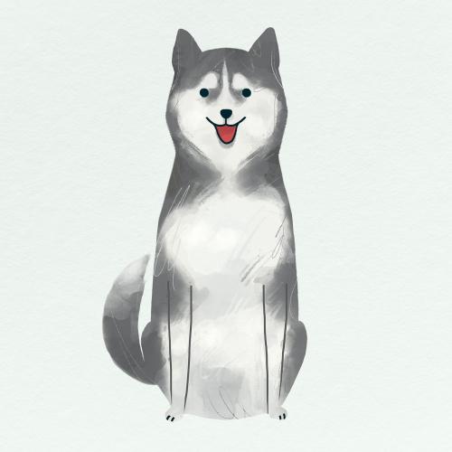 Siberian husky on a gray background vector - 2089774