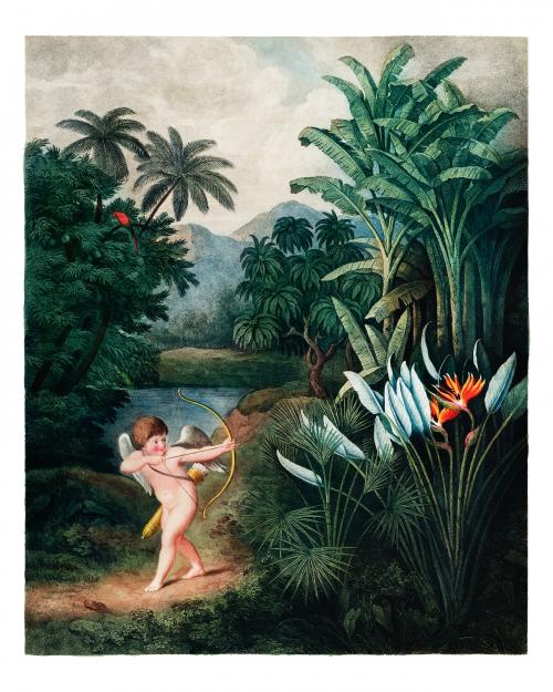 Cupid Inspiring Plants with Love vintage illustration by Robert John Thornton. Digitally enhanced by rawpixel. - 2267240