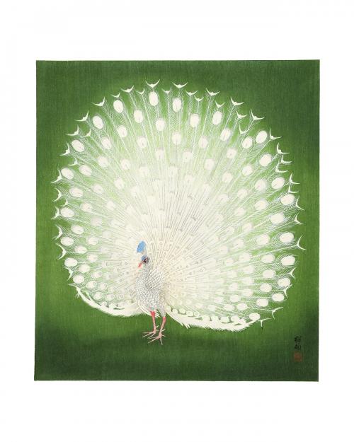 Peacock vintage illustration by Ohara Koson. Digitally enhanced by rawpixel. - 2267428