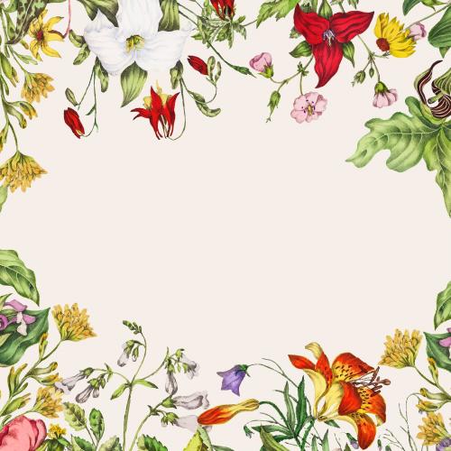 Vintage Canadian wild flowers frame vector - 2108313