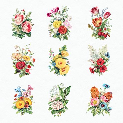 Vintage flowers bouquet collection vector - 2108860