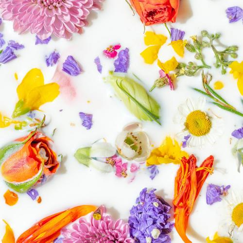 Colorful summer flowers in a milk bath background - 2293693