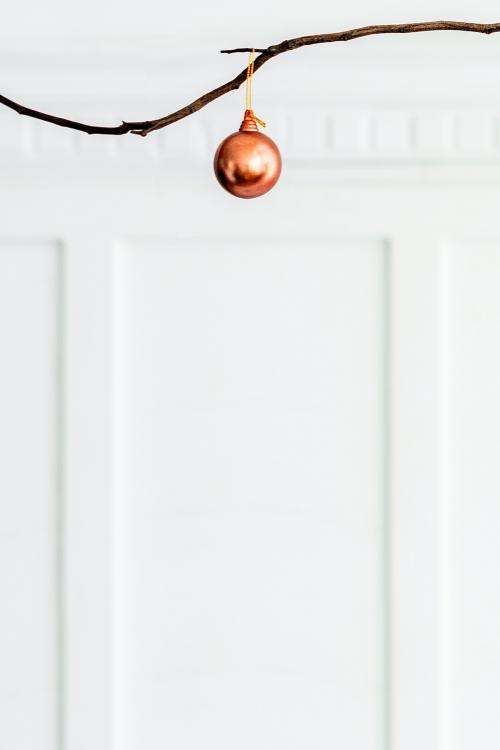 Copper bauble hanging on a branch social template - 2029942