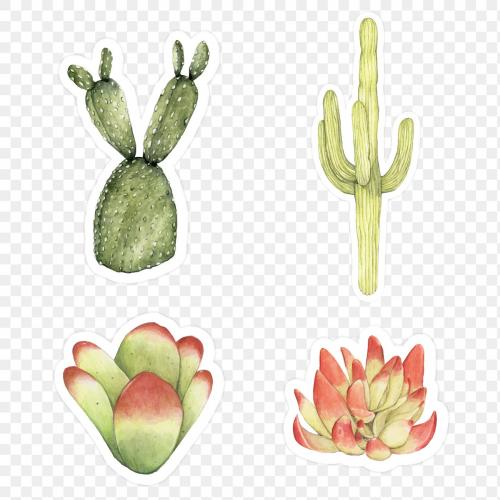 Set of cactus and succulent watercolor sticker doodle transparent png - 2035043