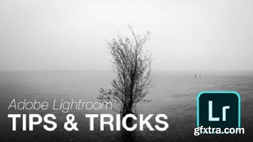 Adobe Lightroom Tips & Tricks Everyone Needs to Know