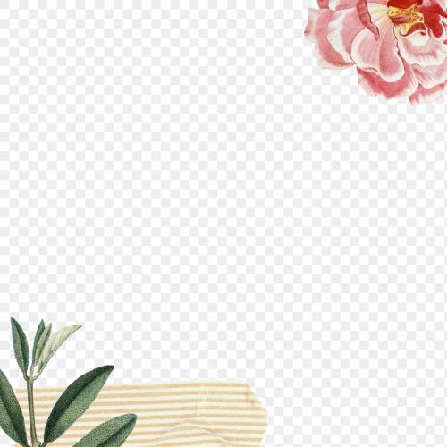 Pink rose and olive branch design element transparent png - 2093626