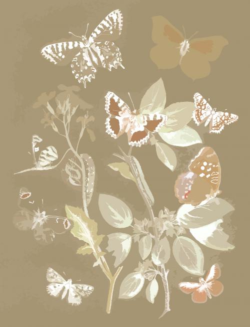 Butterflies and moths vintage vector, remix from original painting by William Forsell Kirby - 2265653