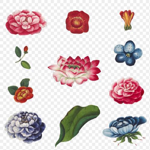 Beautiful vintage Chinese flower illustrations set transparent png - 2205221