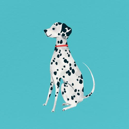 Dalmatian puppy on a turquoise background vector - 2053105