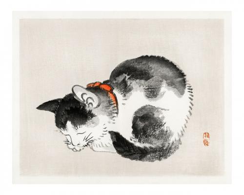 Sleeping cat vintage illustration wall art print and poster design remix from original artwork by Kōno Bairei. - 2267387