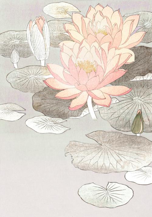 Water lily vintage wall art print poster design remix from original artwork by Ohara Koson. - 2271280